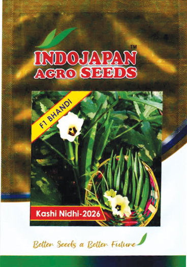 Packet 8